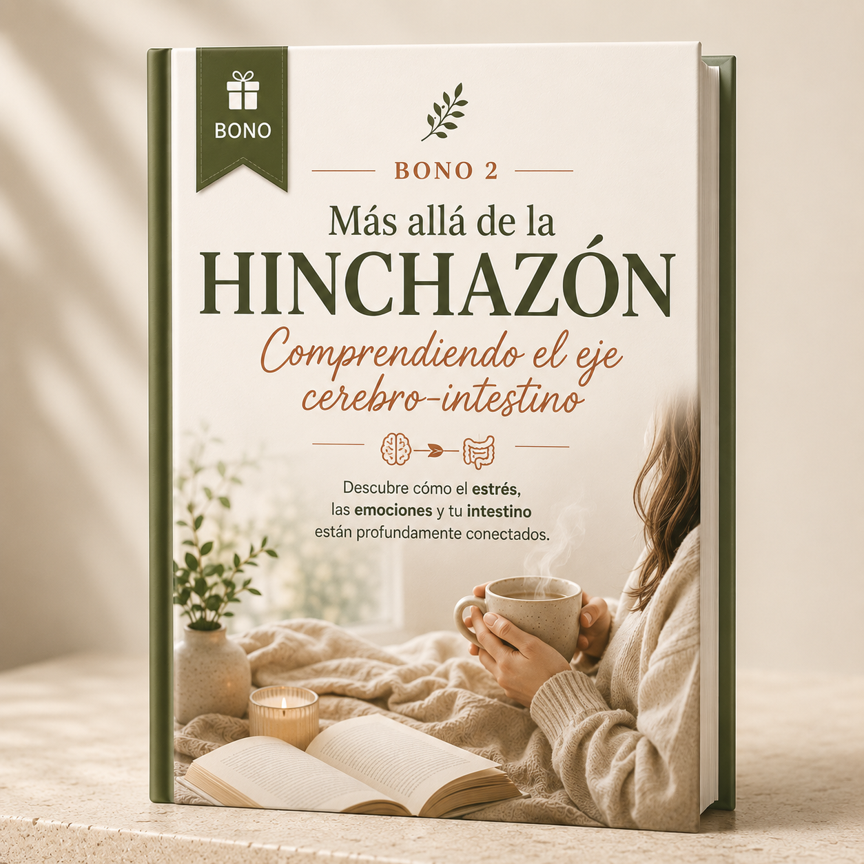 Portada de Más allá de la Hinchazón – Comprendiendo el eje cerebro-intestino